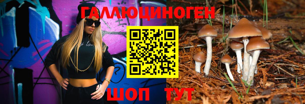 Богданович  Галлюциногенные грибы мицелий  Псилоцибиновые грибы Psilocybine cubensis  Вход с VPN 
